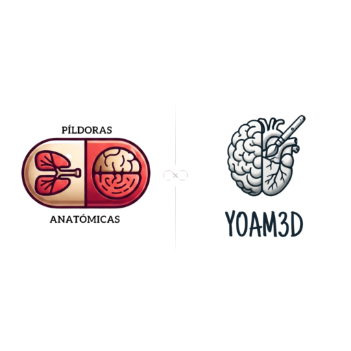 La Píldora Anatómica